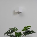 white cube gilt - Nevada