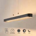 Schwarze ovale Pendelleuchte 115 cm mit dimmbarer LED-Beleuchtung - Oswin