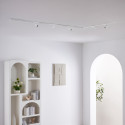 Trendige Deckenbeleuchtung Design - Lyne